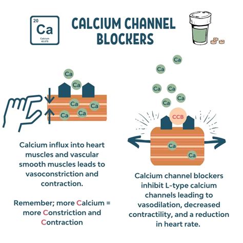 Calcium channel blockers in the management of chronic